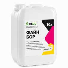 Файн Бор