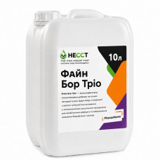 Файн Бор Тріо